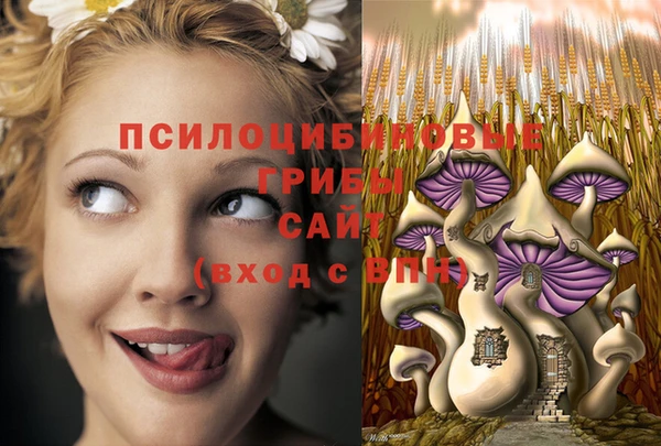 не бодяженный Абинск